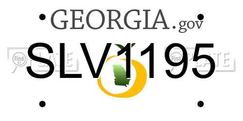 SLV1195 Georgia License Plate