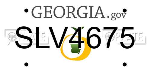 SLV4675 Georgia License Plate