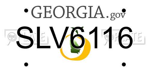 SLV6116 Georgia License Plate