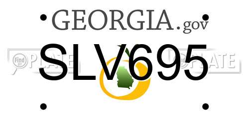 SLV695 Georgia License Plate