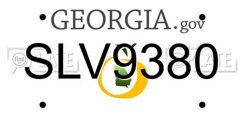 SLV9380 Georgia License Plate