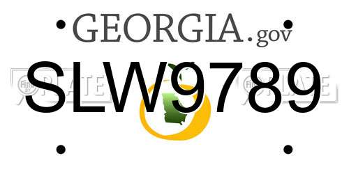 SLW9789 Georgia License Plate