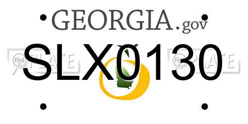 SLX0130 Georgia License Plate