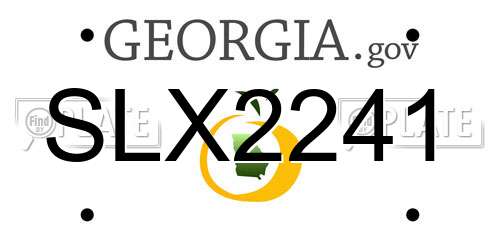 SLX2241 Georgia License Plate