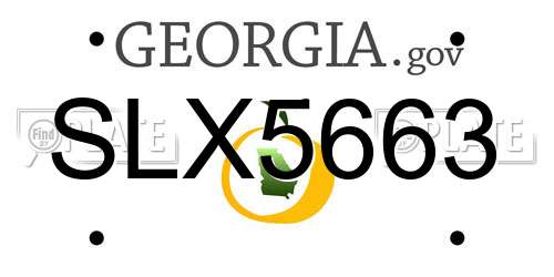 SLX5663 Georgia License Plate