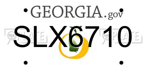 SLX6710 Georgia License Plate