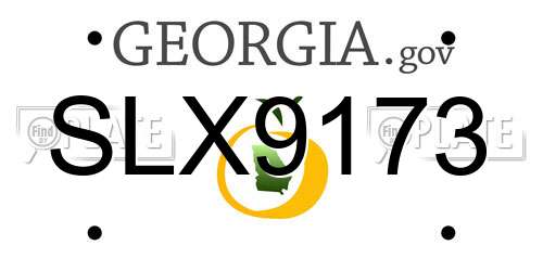 SLX9173 Georgia License Plate