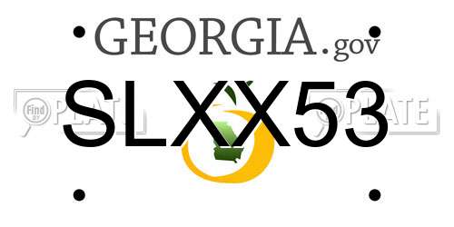 SLXX53 Georgia License Plate