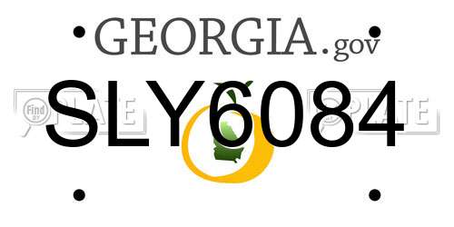 SLY6084 Georgia License Plate