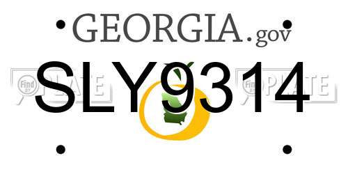 SLY9314 Georgia License Plate