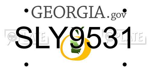 SLY9531 Georgia License Plate