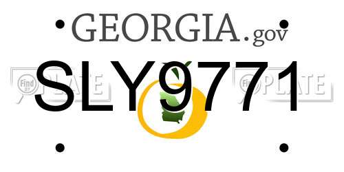 SLY9771 Georgia License Plate