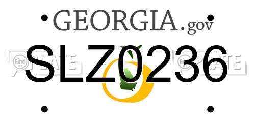 SLZ0236 Georgia License Plate
