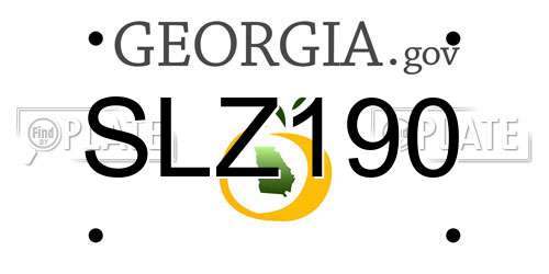 SLZ190 Georgia License Plate