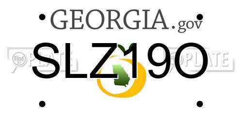 SLZ19O Georgia License Plate