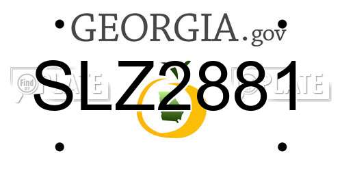 SLZ2881 Georgia License Plate
