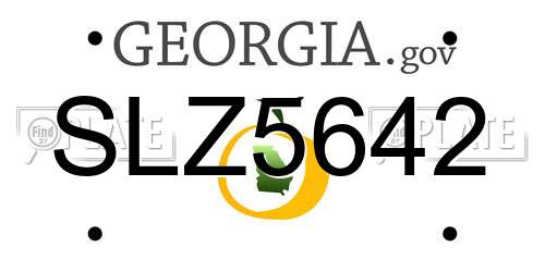 SLZ5642 Georgia License Plate