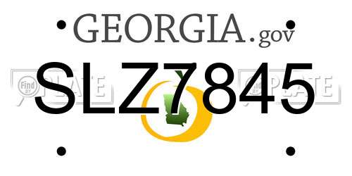 SLZ7845 Georgia License Plate