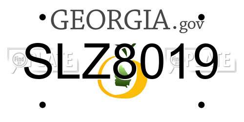 SLZ8019 Georgia License Plate
