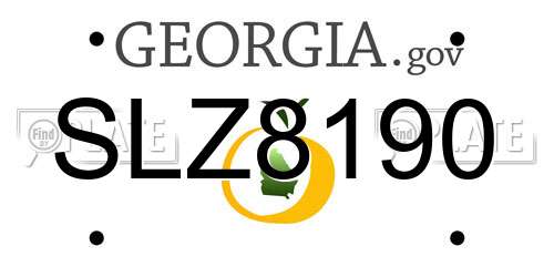 SLZ8190 Georgia License Plate