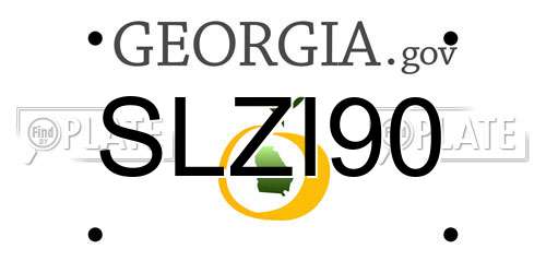 SLZI90 Georgia License Plate