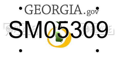 SM05309 Georgia License Plate