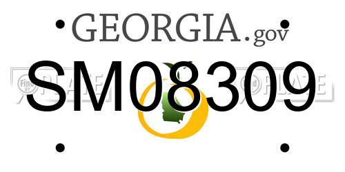 SM08309 Georgia License Plate