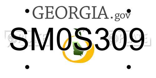 SM0S309 Georgia License Plate
