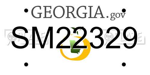 SM22329 Georgia License Plate