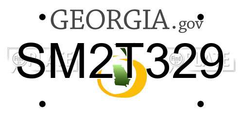 SM2T329 Georgia License Plate