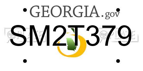 SM2T379 Georgia License Plate