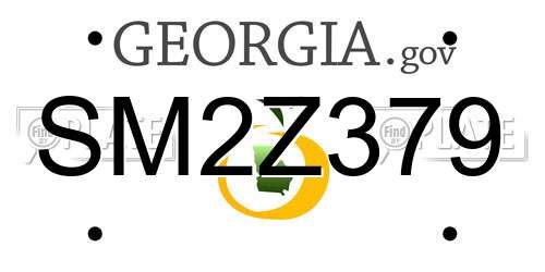 SM2Z379 Georgia License Plate