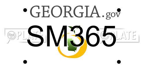 SM365 Georgia License Plate