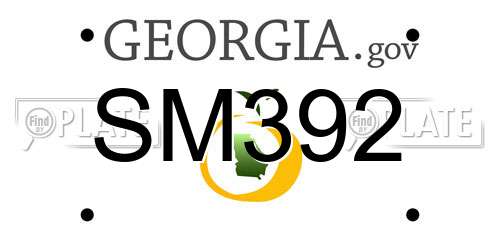 SM392 Georgia License Plate