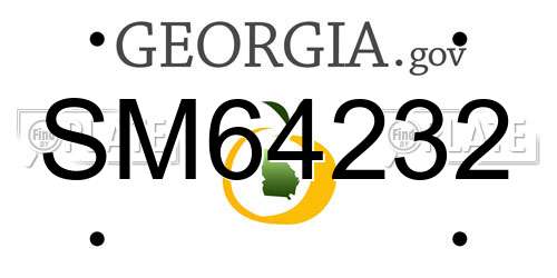 SM64232 Georgia License Plate