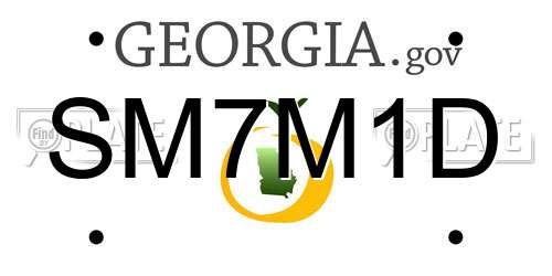SM7M1D Georgia License Plate