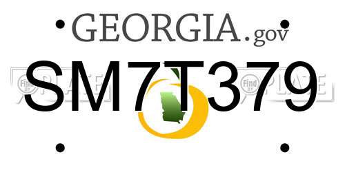 SM7T379 Georgia License Plate