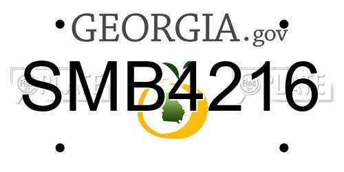 SMB4216 Georgia License Plate