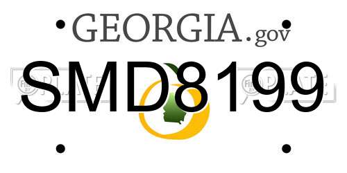 SMD8199 Georgia License Plate