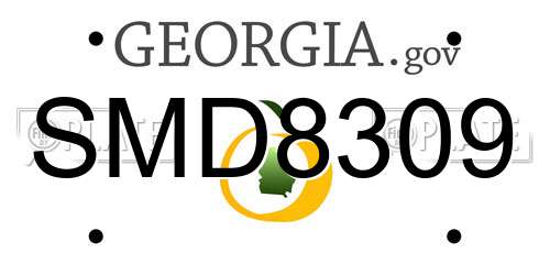 SMD8309 Georgia License Plate