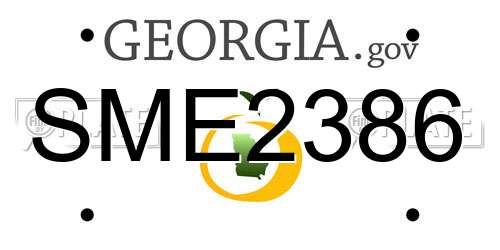 SME2386 Georgia License Plate