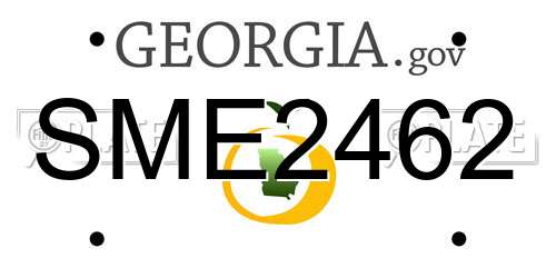 SME2462 Georgia License Plate