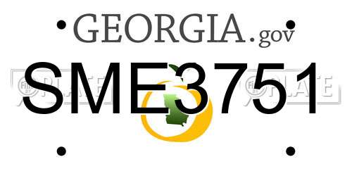SME3751 Georgia License Plate
