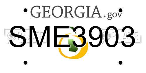 SME3903 Georgia License Plate