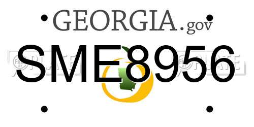 SME8956 Georgia License Plate