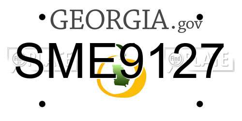 SME9127 Georgia License Plate