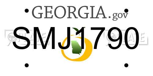 SMJ1790 Georgia License Plate