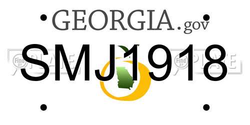 SMJ1918 Georgia License Plate