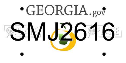 SMJ2616 Georgia License Plate