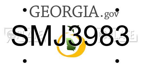 SMJ3983 Georgia License Plate